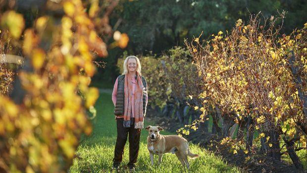 Cullen Wines - Image 3 Cullen Wines - Image 3